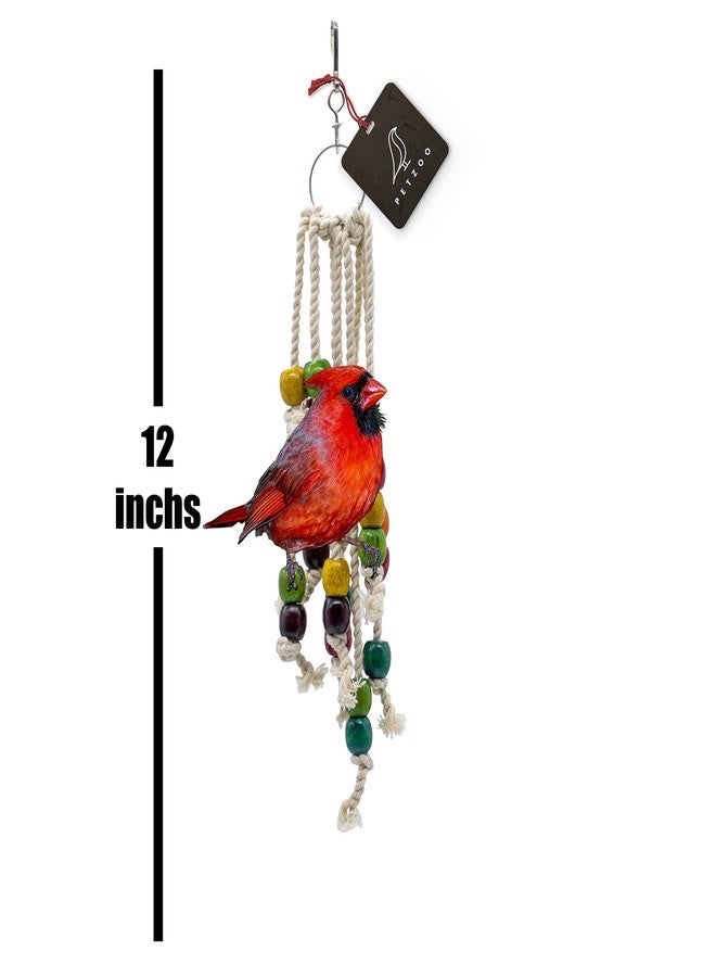 PETZOO Creative Thread & Beads Hanging Toy for Birds, Macaw, African Grey, Parrot, Alexandrine, Budgies, Hamster Cage Accessories, Resting Toy & Wooden Training Aid for Bird & Parrots - Image 2